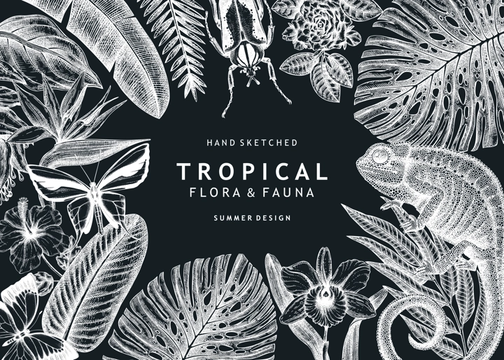 Tropical banner design on chalkboard. Vector frame with hand drawn tropical plants, exotic flowers, palm leaves, insects and chameleon. Vintage wildlife background with tropical plants and animals.